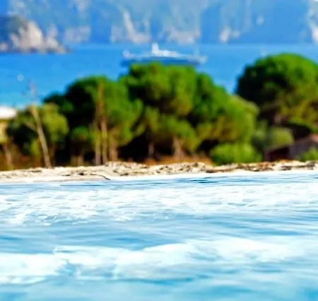 Les Bergeries D'arone * 皮亚纳