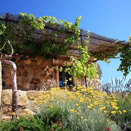 Les Bergeries D'arone 别墅 皮亚纳